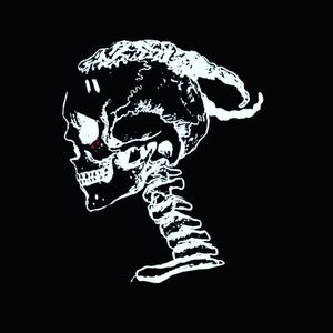 Meet your Posher, Roberto